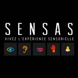 Où trouver une activité insolite à faire en groupe à Strasbourg ? - Sensas Strasbourg