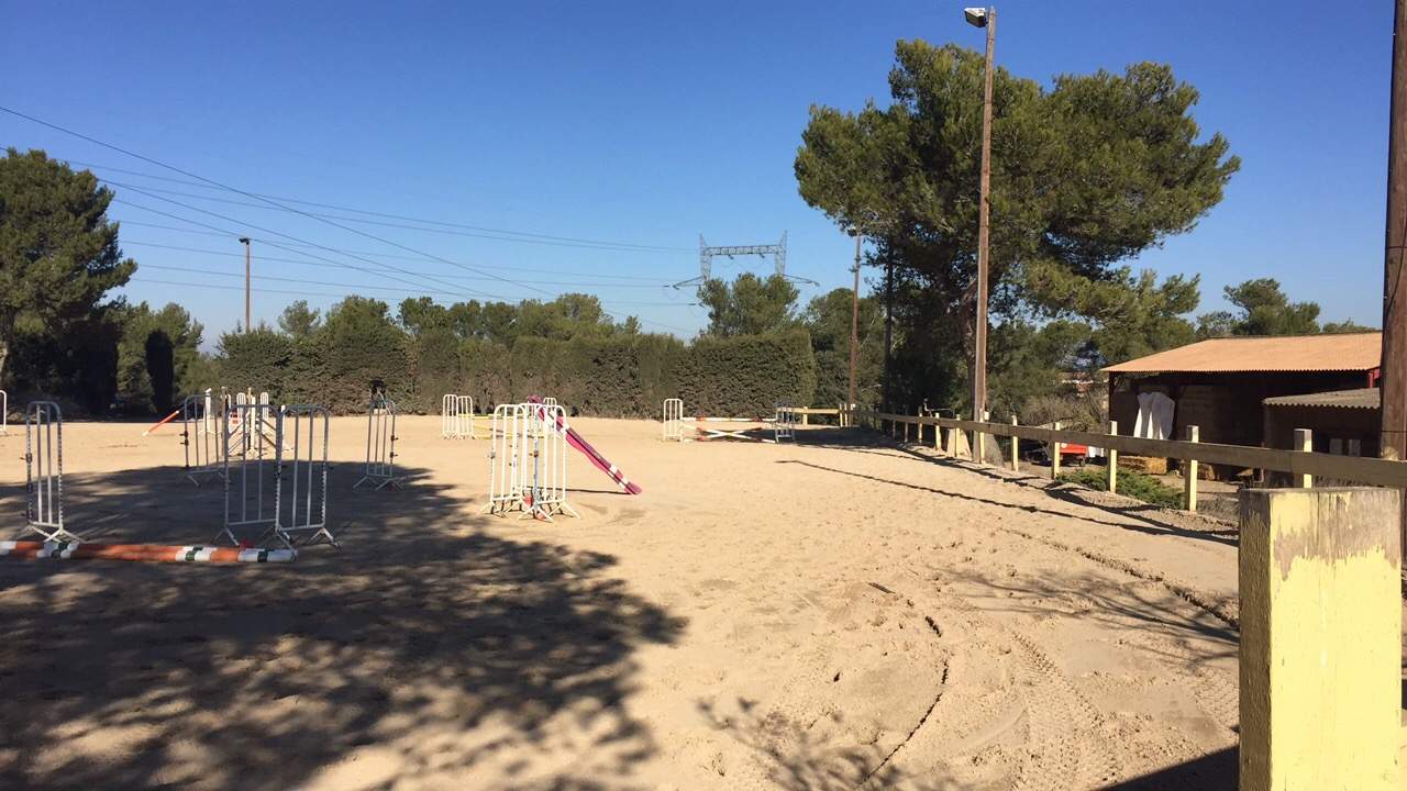 Écurie de propriétaires avec pensions pour chevaux et poneys Calas Le Haras du Boulard