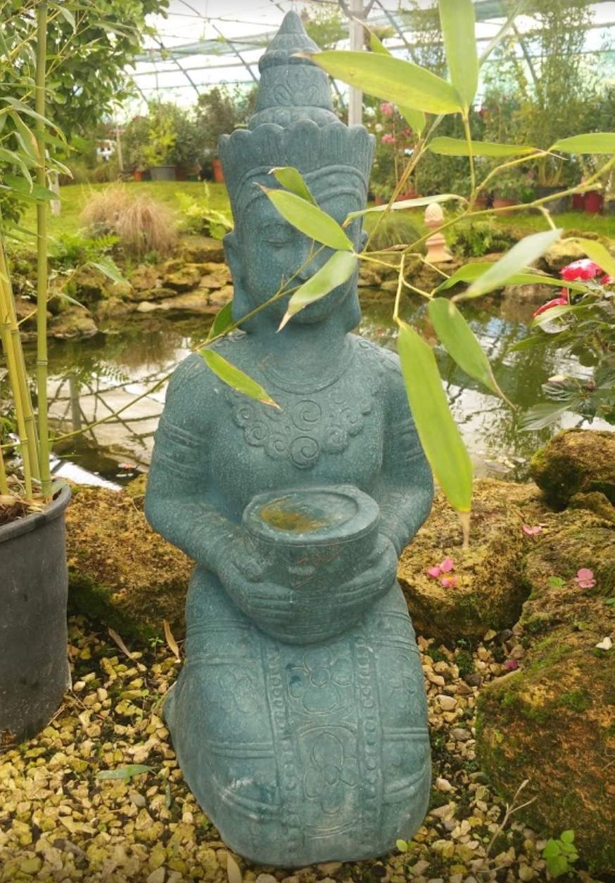 Magasin spécialisé en végétaux et articles de jardin Istres Les Jardins d'Eole
