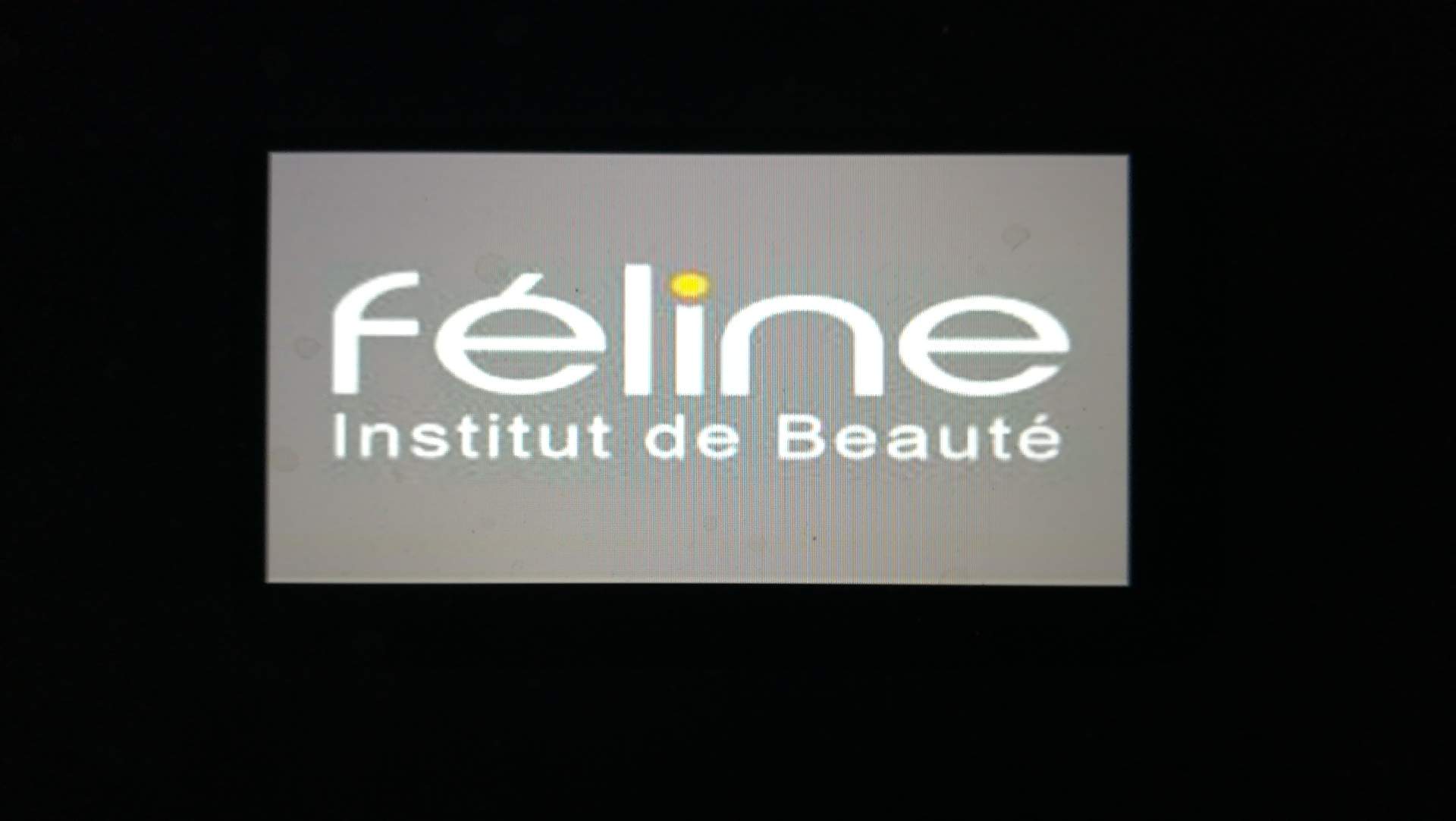 Institut de beauté Marseille boulevard Eugène pierre Institut feline