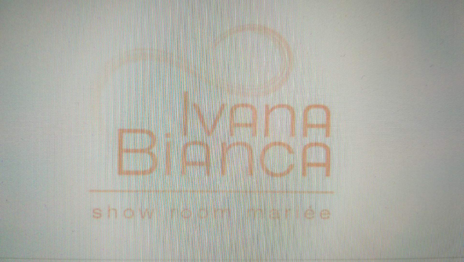 Magasin de robe de mariées Aubagne Ivana Bianca