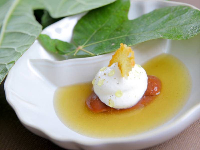 Privatisation d'une bastide provençale pour un mariage avec repas gastronomique par le chef étoilé Christopher Hache près d'Aix-en-Provence (13)