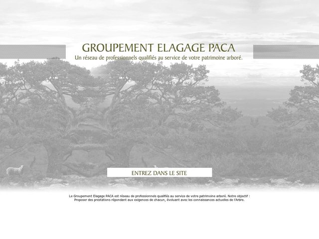Elagage abattage arbre - Marseille Bouches du Rhone PACA - EURL Gaujoux