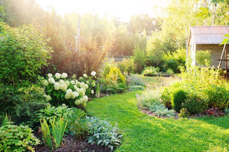 Jardinier Paysagiste pour entretien annuel de jardin et espaces verts en Isère avec AMPI Espaces Verts