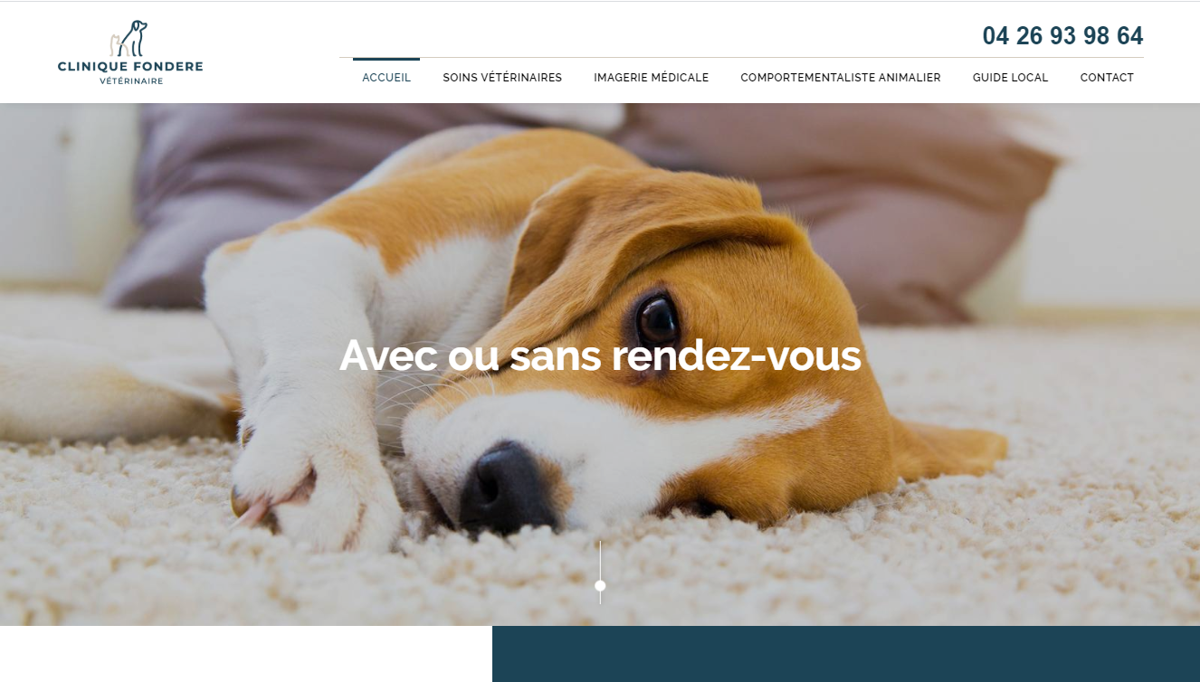 Clin ique Vétérinaire Fondère - Clinique vétérinaire sans rendez-vous au Cinq Avenues à Marseille (13004)