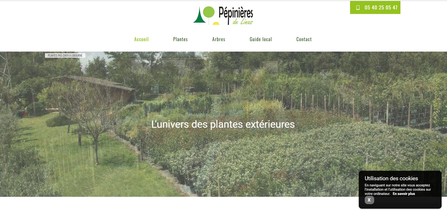 Où trouver des plantes pas cher à Libourne ? - Pépinière de Linas
