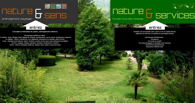 Faire appel à un jardiner pour tailler mes haies à Lyon - Nature et Services