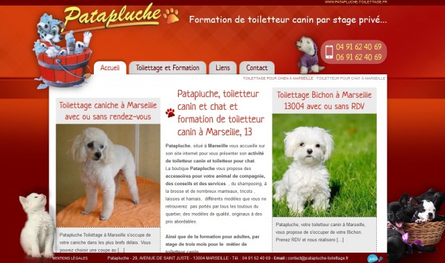 Où suivre une formation de toiletteur canin à Marseille ? - Patapluche