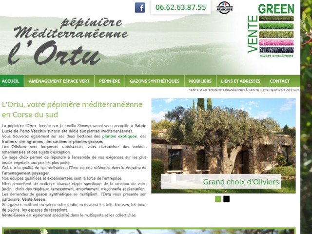Où acheter du gazon synthétique près de Porto Vecchio ? - Vente Green