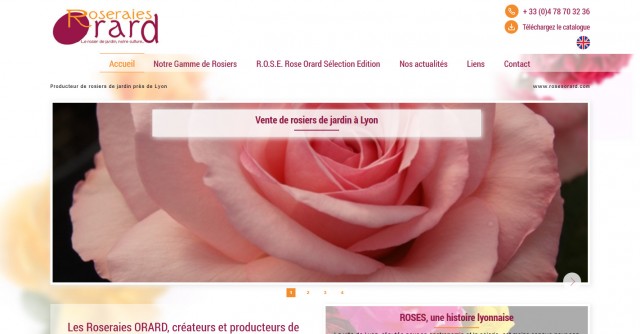 Site de vente en ligne de rosiers - Roseraies Orard