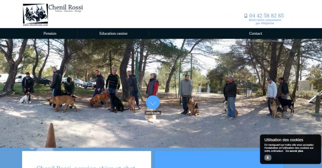 Où faire garder son chien pendant les vacances à Aix en Provence ? Chenil Rossi