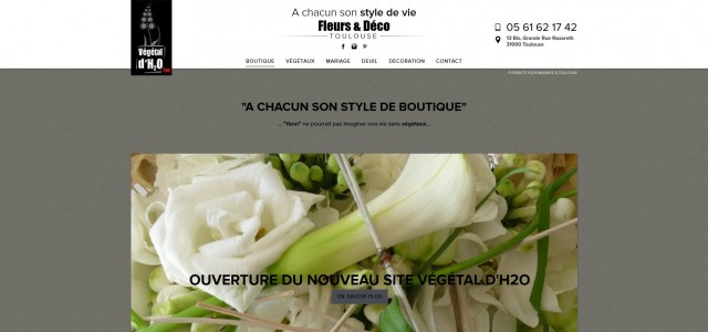 Livraison de fleurs à Toulouse - Végétal d'H2O