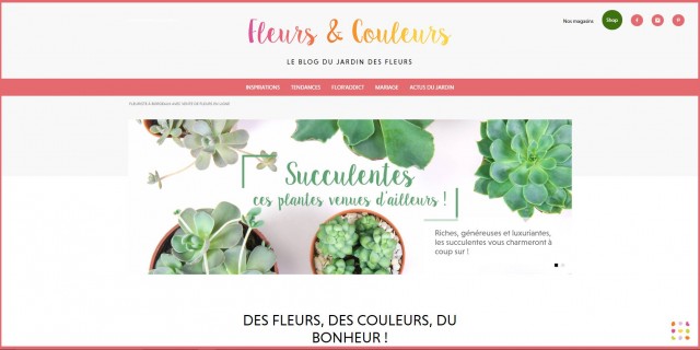 Vente et livraisons de fleurs de saison à Bordeaux - Fleurs et Couleurs