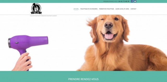 Salon de toilettage pour chiens et chats à Aubagne - Snob Dog