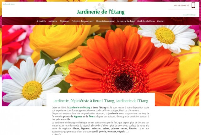 Acheter un plan de légumes sur Berre l’Etang – Jardinerie de l’Etang