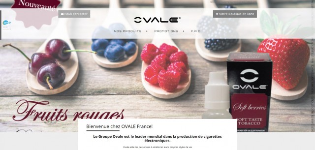 Vente de cigarettes électroniques sur Lyon - Ovalefrance.fr