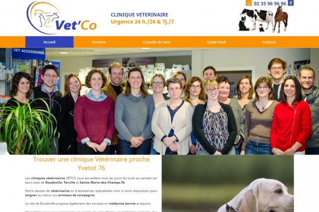 Clinique vétérinaire pour animaux domestiques à Doudeville - Clinique vétérinaire Vet'Co