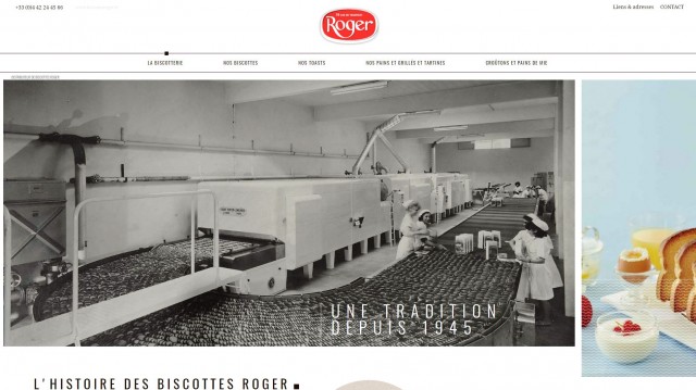 Acheter des toasts bio en ligne - Biscottes Roger