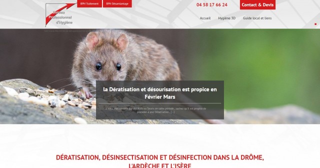  Comment se débarrasser des rats dans un immeuble à Valence ? - Bureau Professionnel d'Hygiène