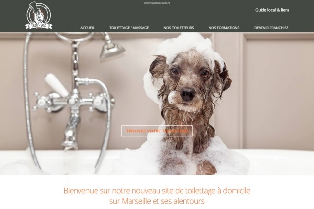 Trouver un toiletteur à domicile à Marseille - Snob Dog