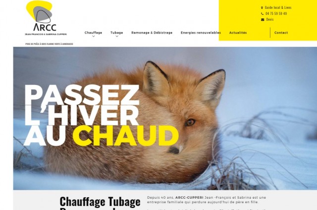 Où acheter une poêle à bois flamme verte à Annemasse - Arcc-Cupperi