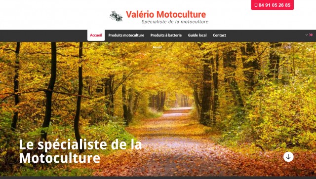 Où acheter une tronçonneuse près de Marseille ? - Valério Motoculture