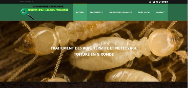 Traitement contre les termites à Blaye - Eurotermite Capricorne