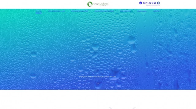 Quelle entreprise pour un diagnostic humidité dans ma maison sur Caen ? - ECOSYSTEM