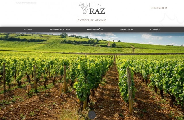 Entretien de vignes en Gironde - ETS RAZ