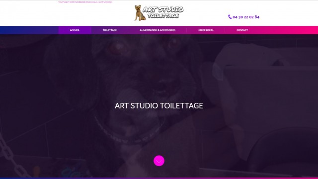 Où faire toiletter mon chien pas cher à Saint-Savournin ? - Art Studio Toilettage