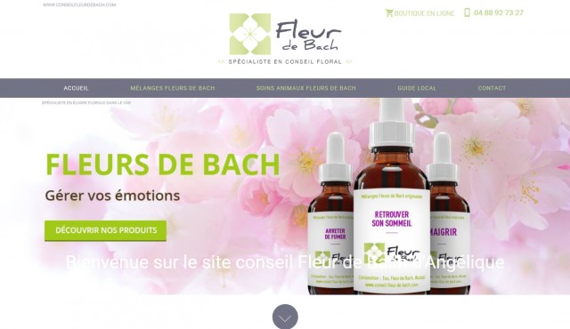 Comment soigner les troubles du sommeil grâce aux fleurs de Bach ? - Conseil Fleur de Bach