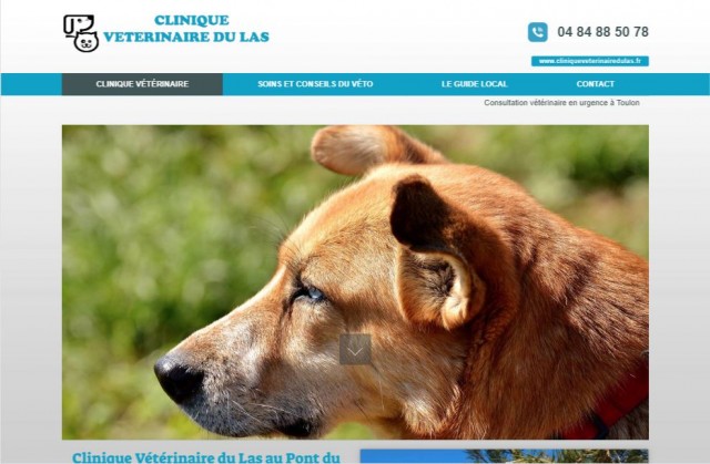 Consultation vétérinaire en urgence à Toulon - Clinique Vétérinaire du Las