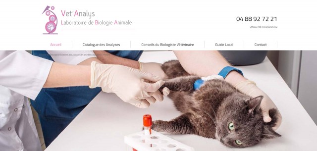  Laboratoire vétérinaire spécialisé en analyses biologiques à Hyères - Vet'Analys