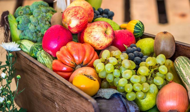 Quel grossiste pour des fruits et légumes de qualité sur Marseille ? - Jeanningros