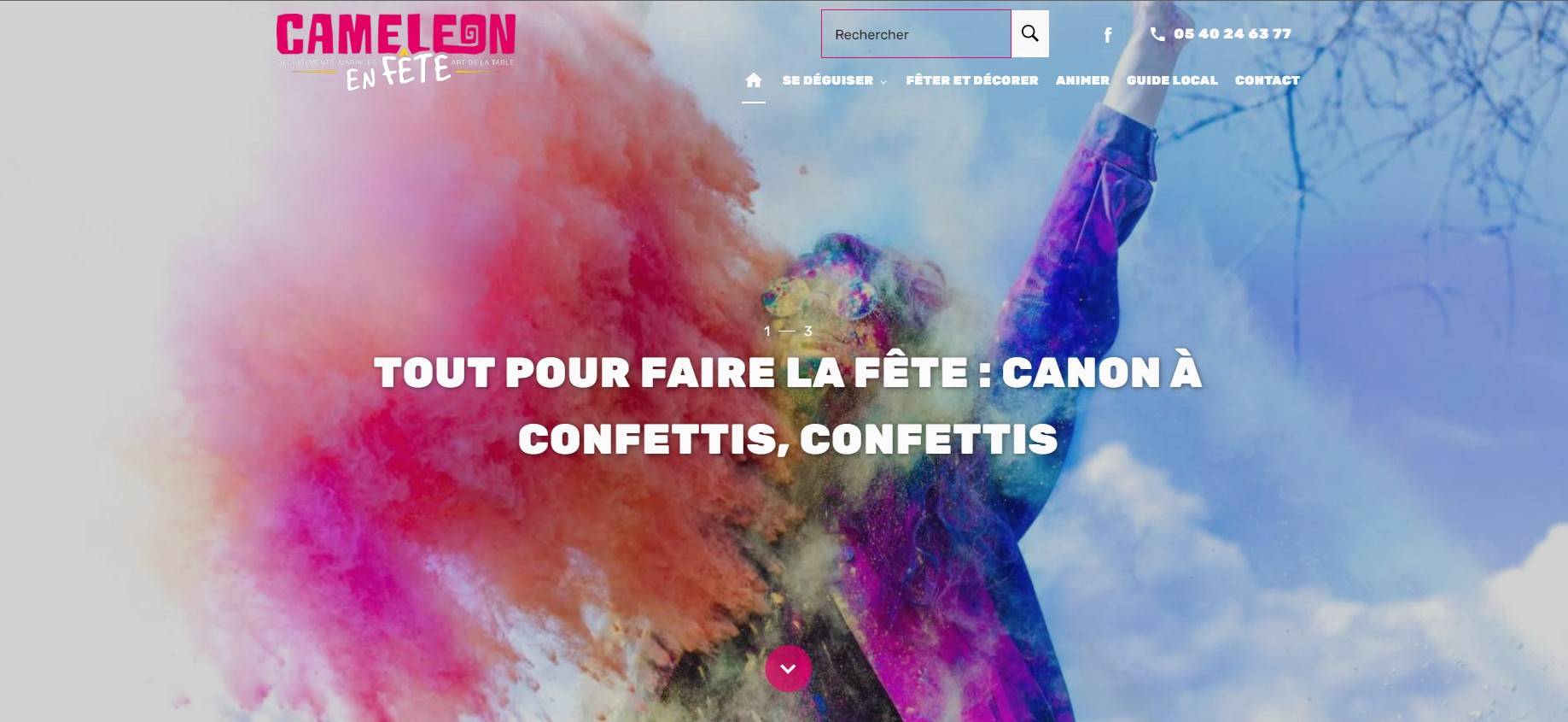Caméléon en Fête