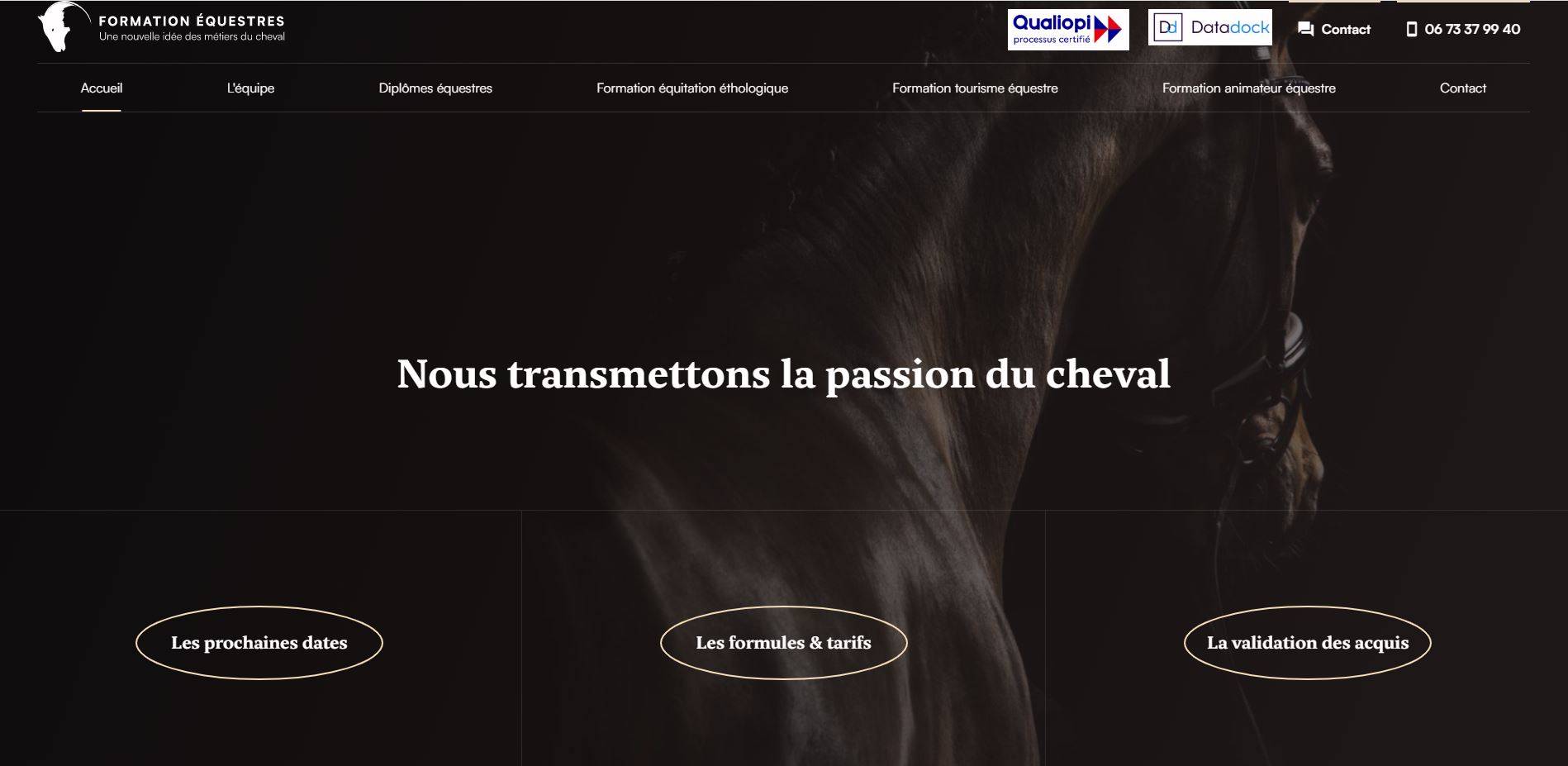 Trouver une formation en équitation éthologique proche d'Avignon dans le Vaucluse