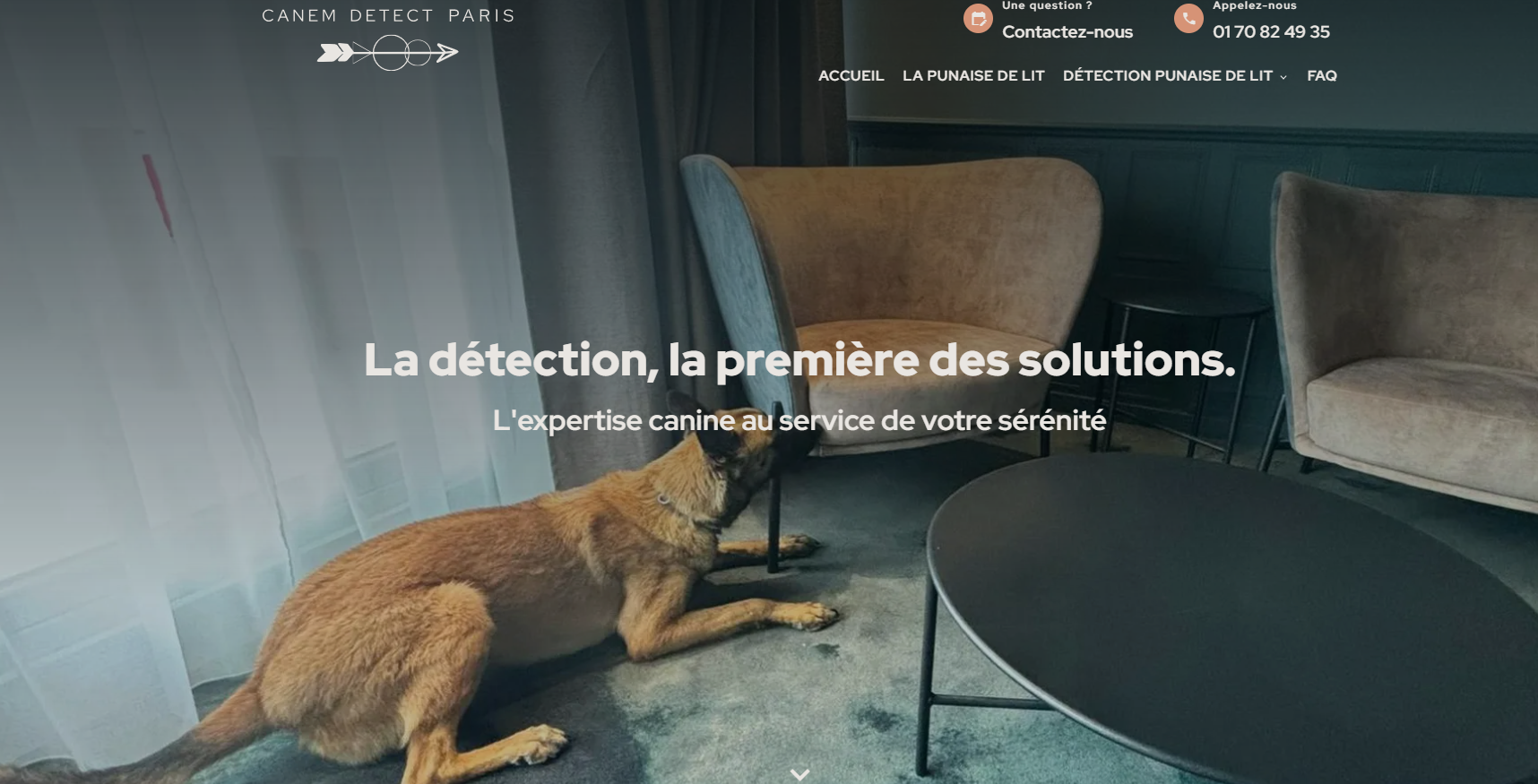 détection canine de punaises de lit à Paris