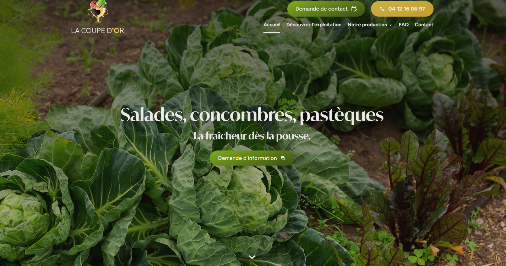 fournisseur de fruits et légumes frais à Avignon