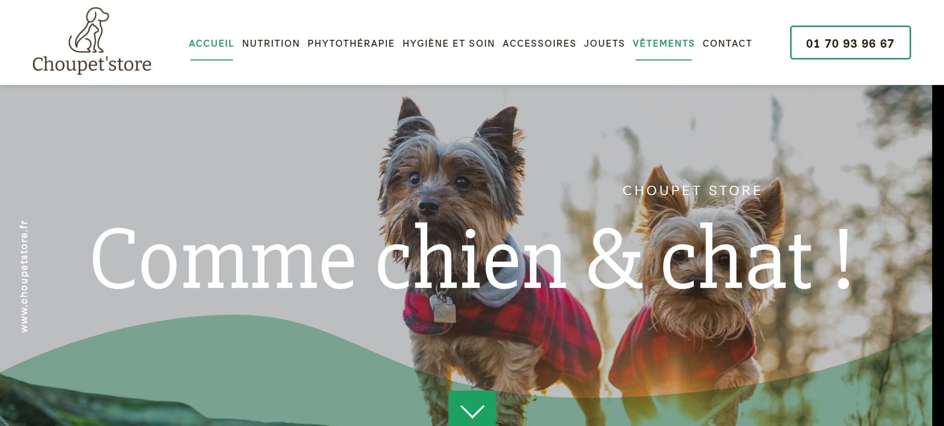 Choupet'Store, le blog des amoureux des chiens et des chats à Bordeaux 