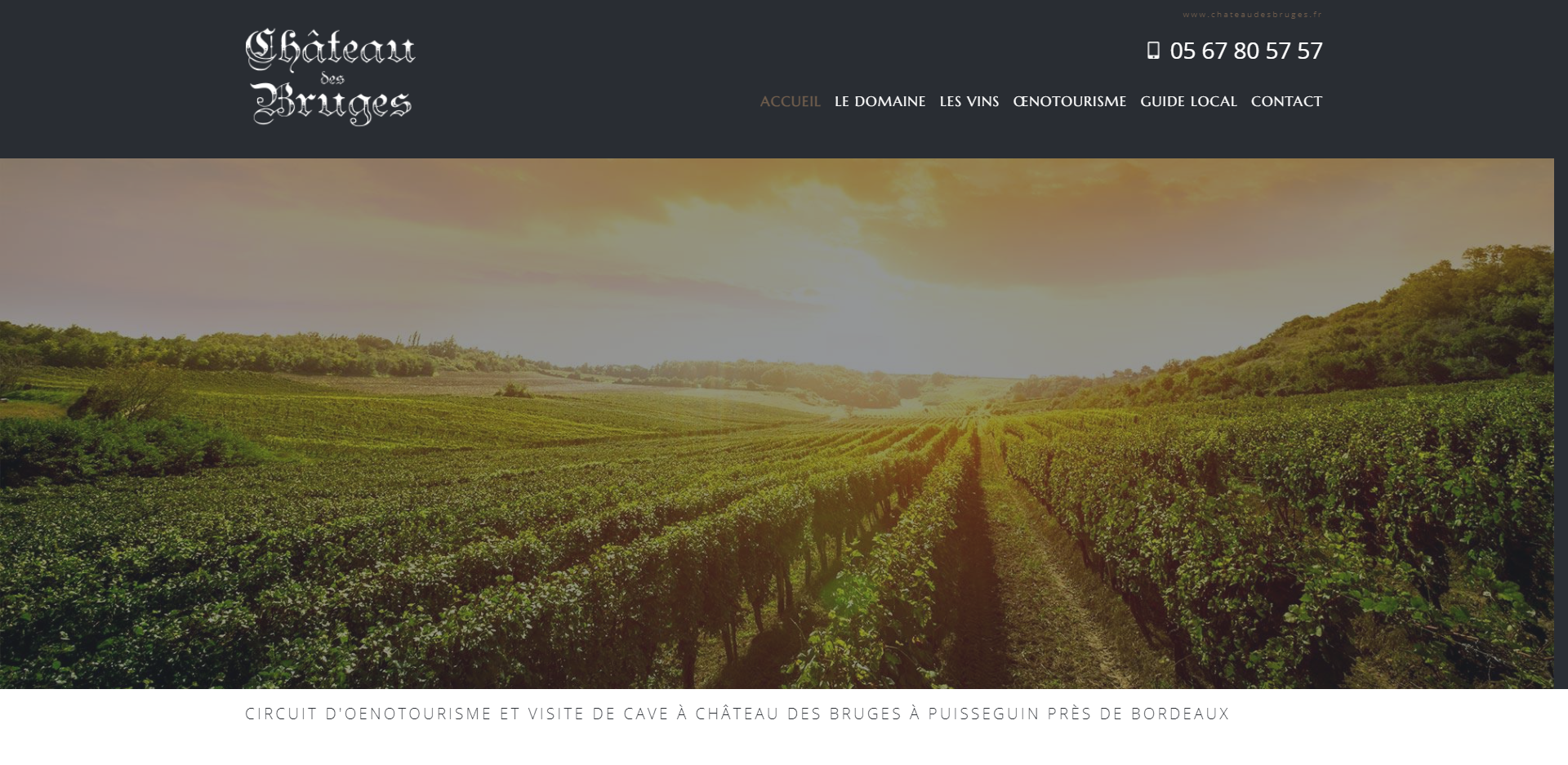 Où faire une visite d'une cave viticole avec une dégustation de vin près de Bordeaux ? - Château Des Bruges