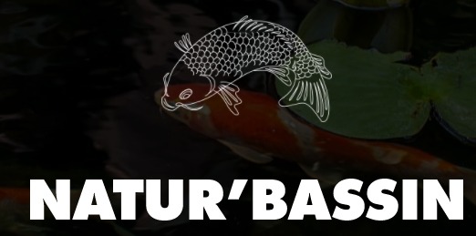 Construction et entretien de bassins aquatiques dans le Vaucluse