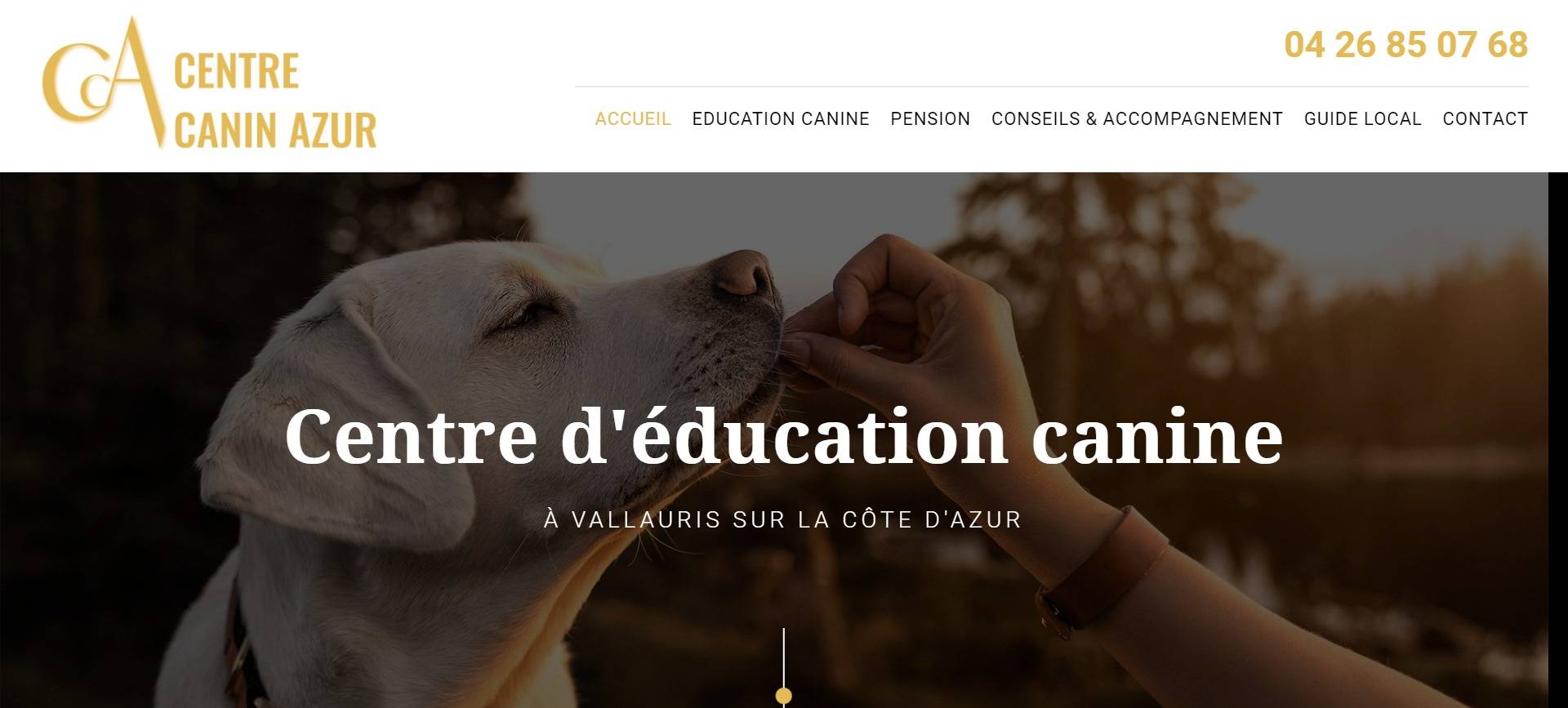 Educateur canin à domicile Cannes