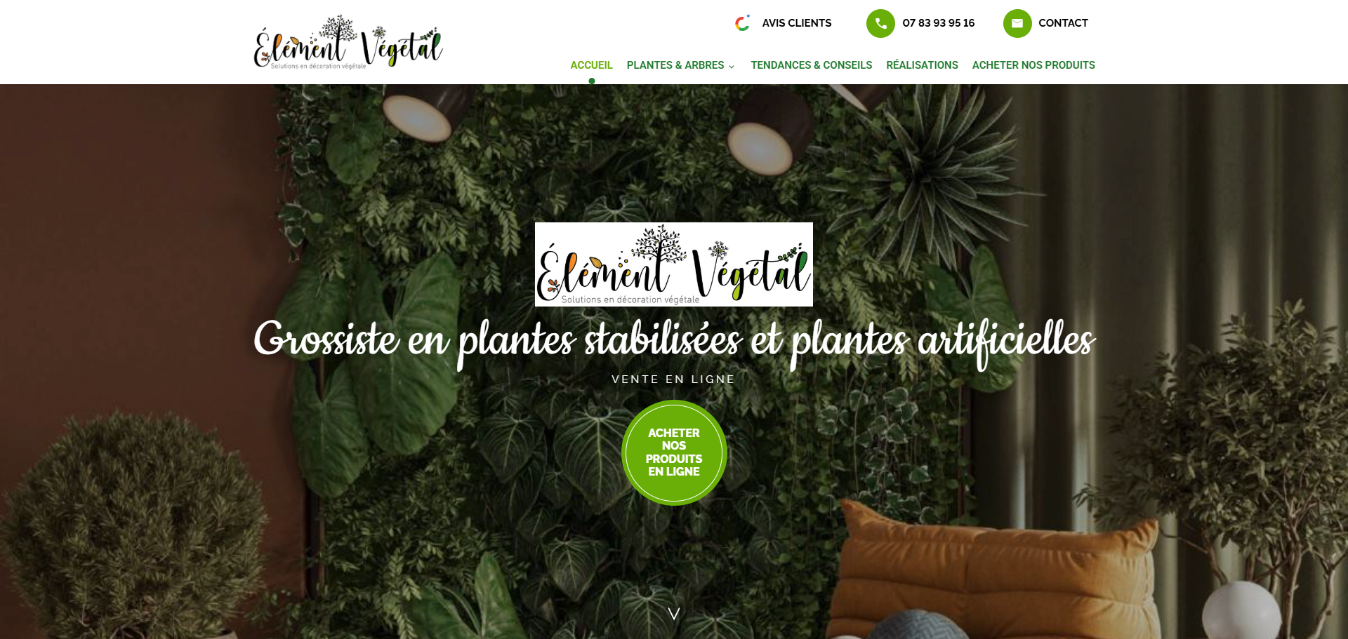 Où acheter des plantes artificielles ultra réalistes en gros ? Élément Végétal