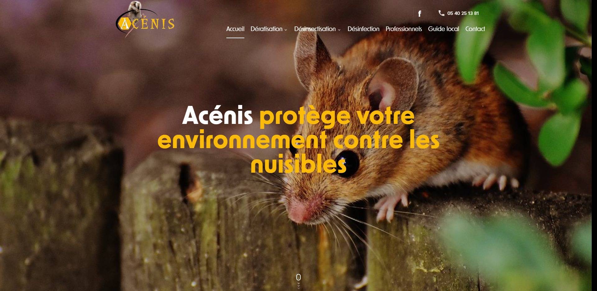 Entreprise pour le traitement des punaises de lit à Bordeaux avec Acénis