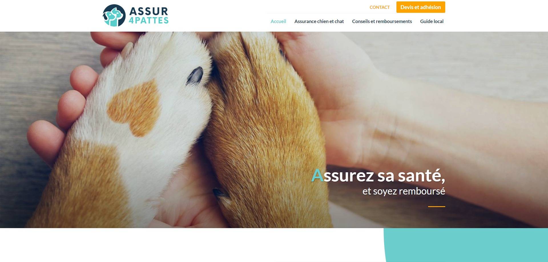 Meilleure assurance pour chien et pour chat à Montpellier