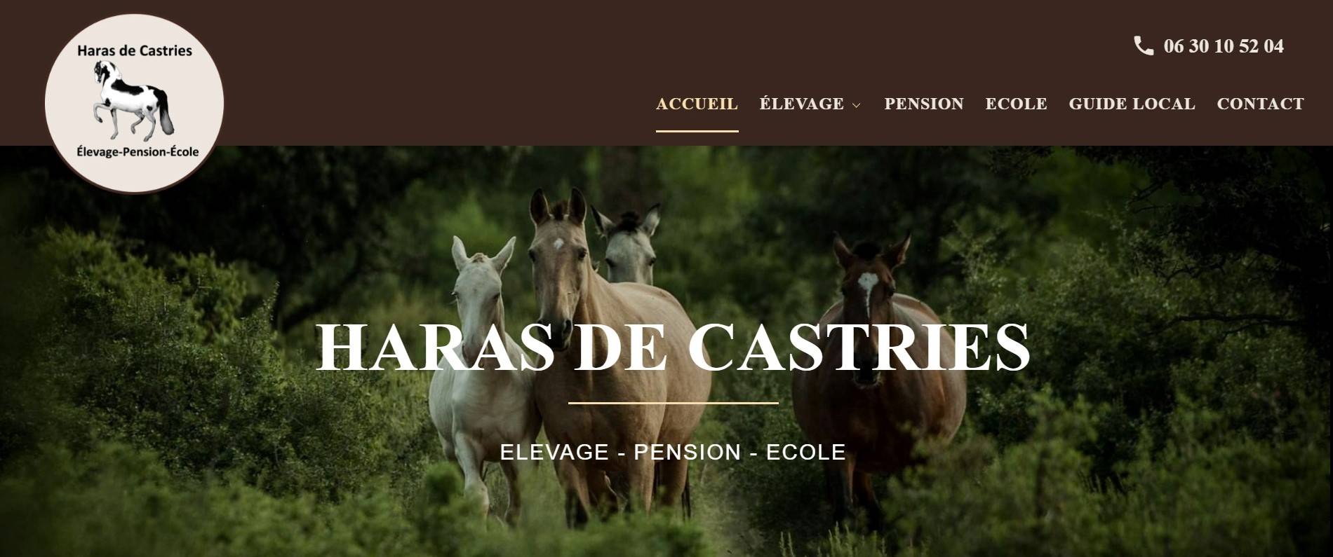 Le Haras de Castries : Elevage de Pur Sang Lusitanien près de Montpellier