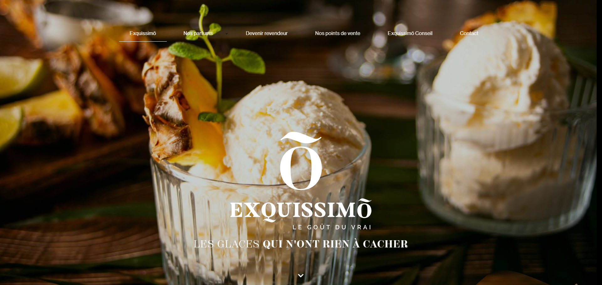  Grossiste en glaces artisanales vegan pour les professionnels du Sud de la France - Exquissimo