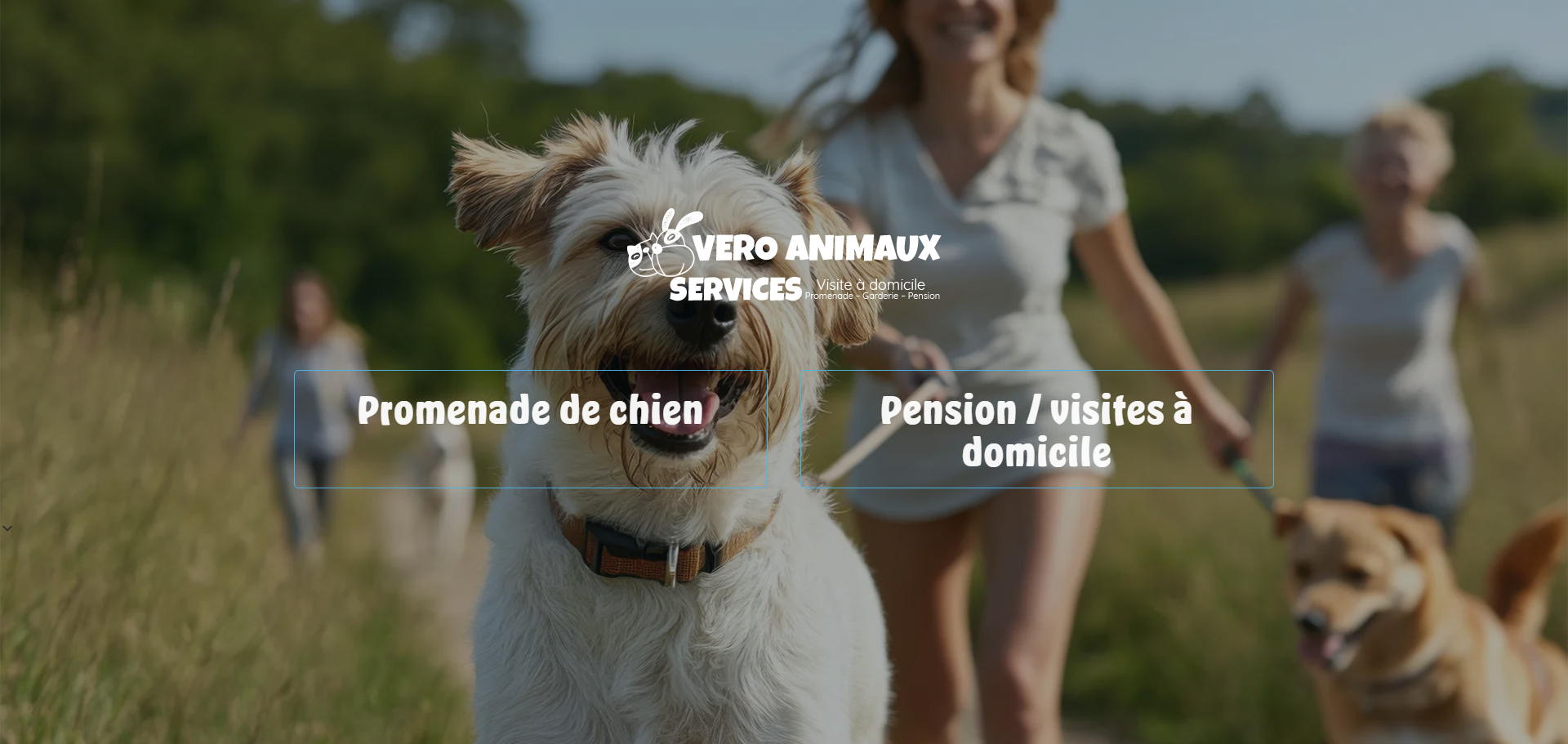 Promeneur de chien attentionné à Haguenau - Véro Animaux Services
