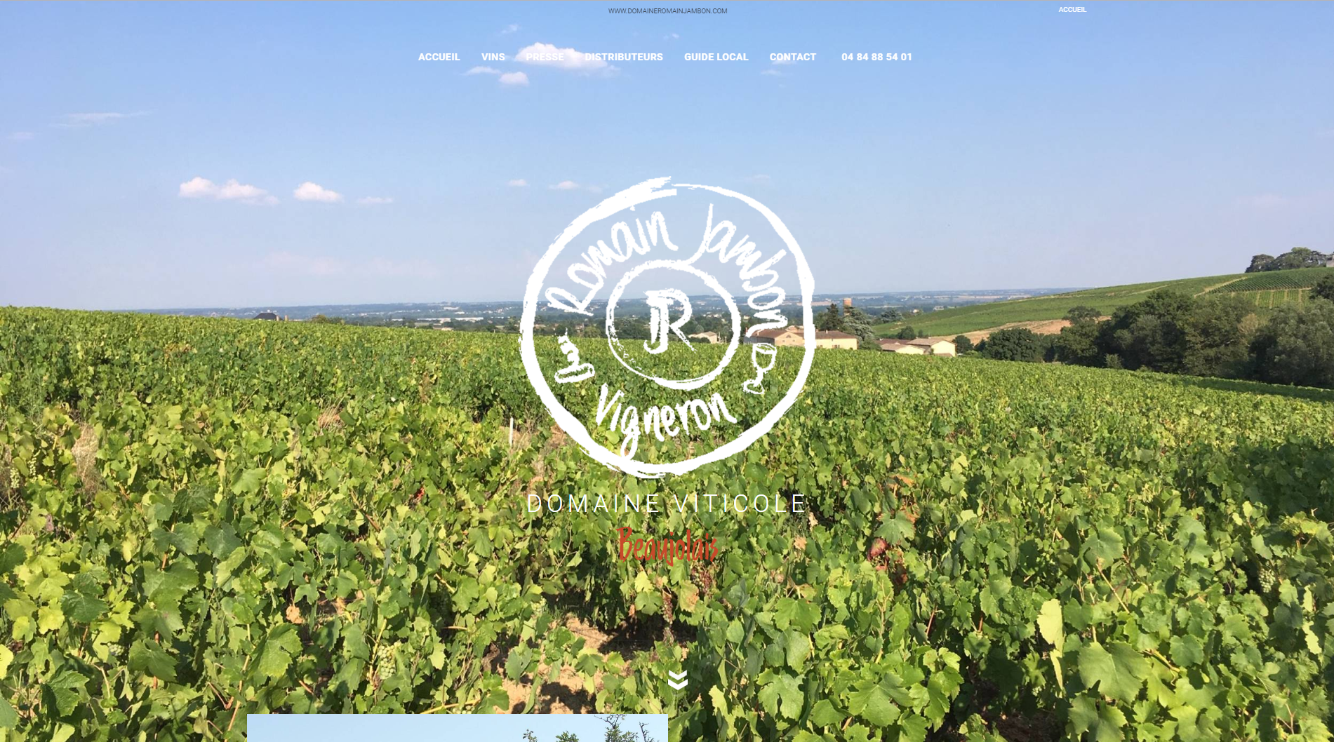 Découvrez les Beaujolais d’exception du domaine Romain Jambon !