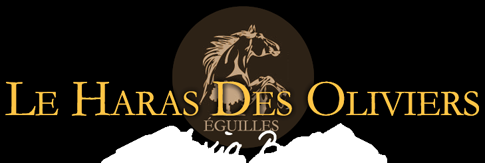Le centre équestre le Haras des Oliviers à Eguilles